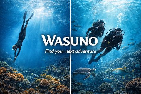 Wasuno coming soon illustration